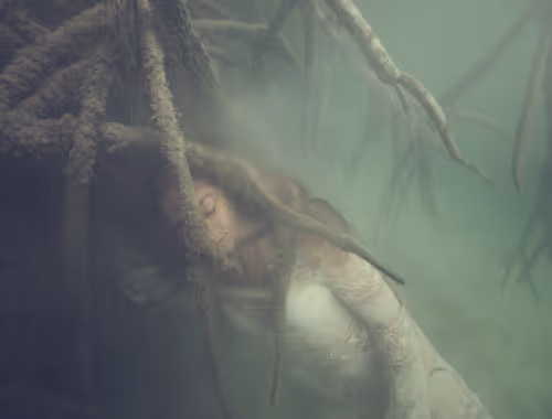 Item #15053791746774206847378132413351543931211387295509872783724080621085553328129 Media