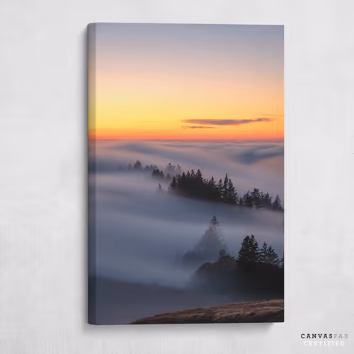 16"x24" RizzVisuals #9647 Canvas Print