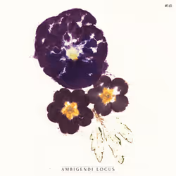 AMBIGENDI LOCUS #141