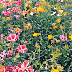 WILD FLOWER MEADOW #001
