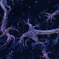 Neurons #0009