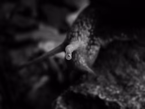 Item #83078762740139376938718327427233199779928808493802448471748731827451162787841 Media