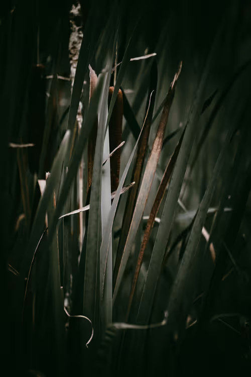 Item #46709965239587215851558087466762379659612403751449934923508460080307432849409 Media