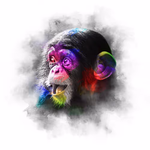 Item #59088353916634911645199901135540098457890710800918991321684793763499161419785 Media