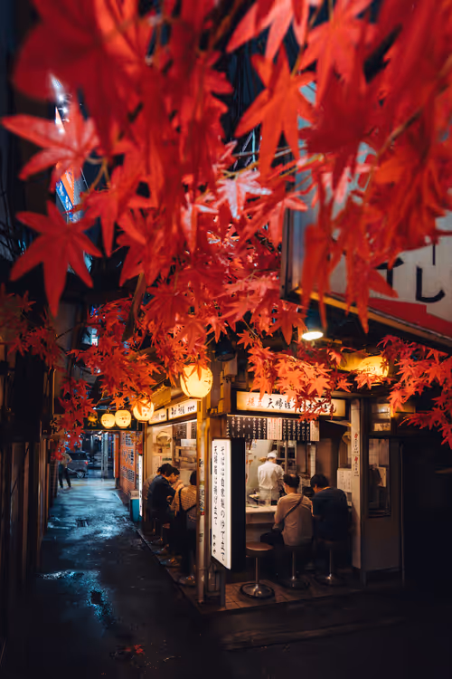 Item #63385844922884707260670708997335825018243835468688279288737241355428126785537 Media