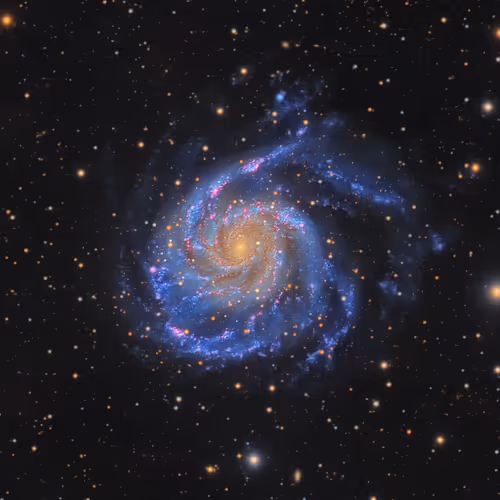 108186161995134237610402563983755486596284983973067621403088740244989983850497