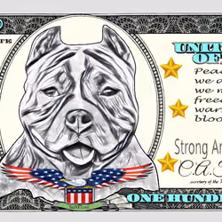 Dollar StaNFTord 91