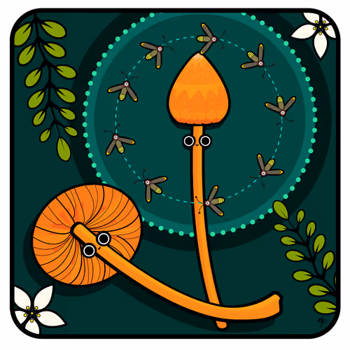 Item #66492061377330858312394959550715582150063143788271338571324127791277630554113 Media