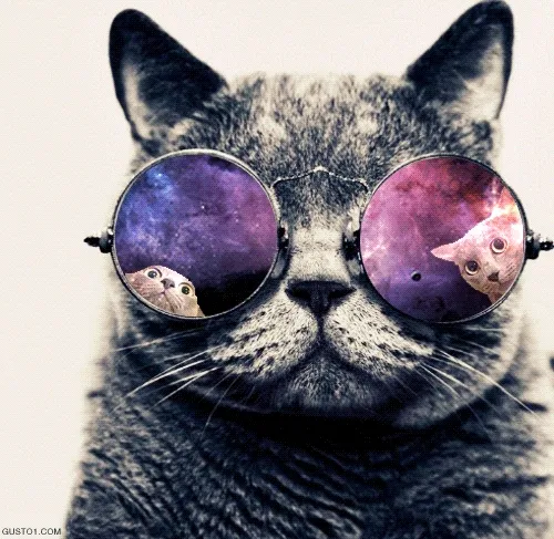 Space Cat