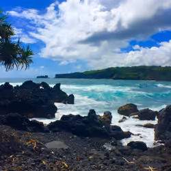 Aloha 