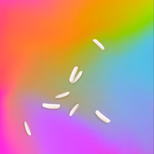 Ricegrains Va669VSJ6A