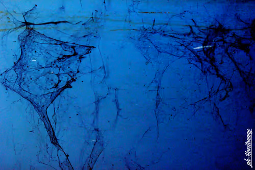 Item #106724480225674234207905183148312565268453477857390453009567810411236622860289 Media