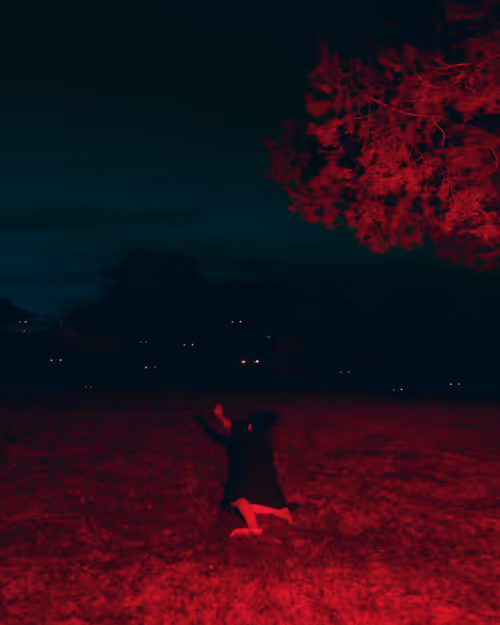 Item #32827042511948826872324468715396382654491318328584451674488605475502204911617 Media