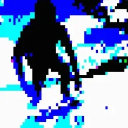 SW HEEL
