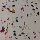 78147688793357786579460449360528564401713975983113503706403588787463218266113