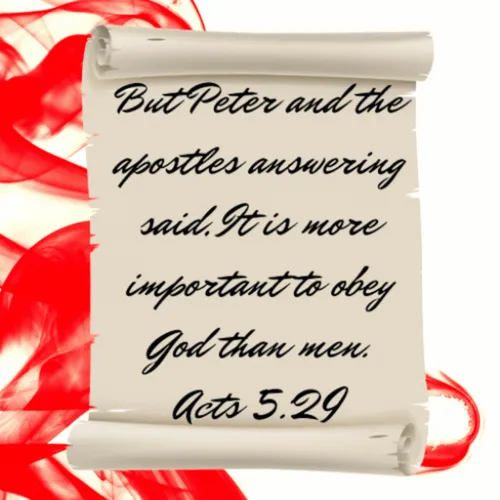 Item #38709541401652465001399013235077350118197148033488468632614324382112703053844 Media