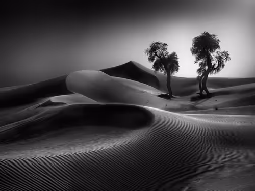 Item #108814857691029429230781820568210235490063919231059486623727012645380112252929 Media