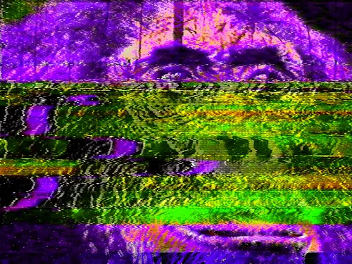 Item #50586045322935652405689262764889663081015802704882758935723149351647103156225 Media