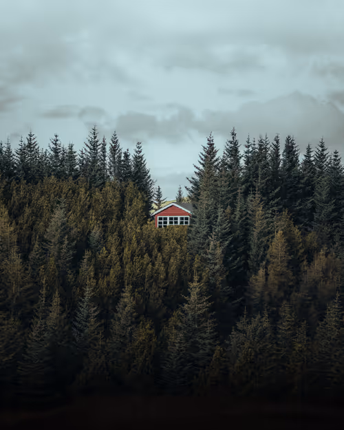 Item #3675481411317596523649091696801759419370078050223984411814034761300179943425 Media