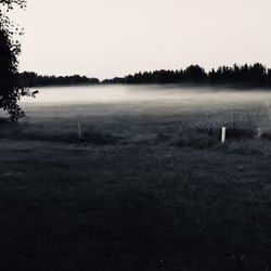 Mystical fog