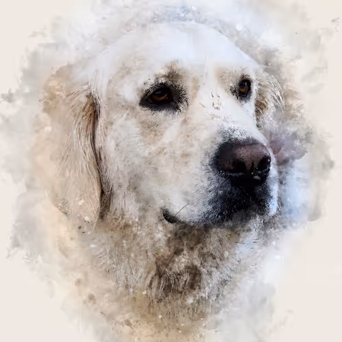 Item #58778693027167081171551254425987739881212938783430637935774676644604330115073 Media