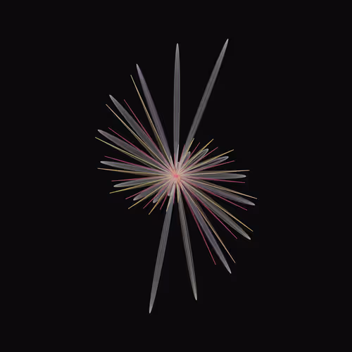 Codednatures