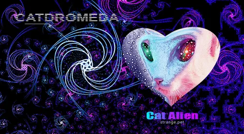 Item #59132355562186324700850821844442436394047262304885251221794294010606501494785 Media