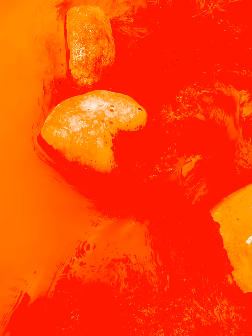 Item #98843954857266856101330559780238873570552098425130206222908041923096798560257 Media