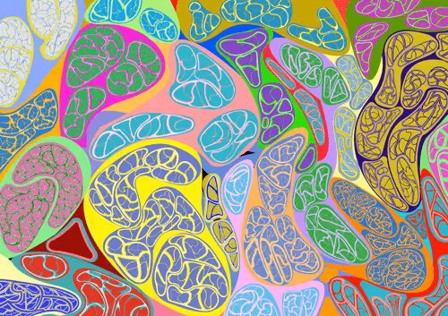 Item #3841268340675672168717987549265102073987411526343897746710086069055268061185 Media