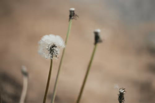 74023677201646755135331308507564903527540019638043320718460698813491876724737