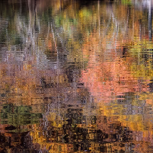 Fall Reflections