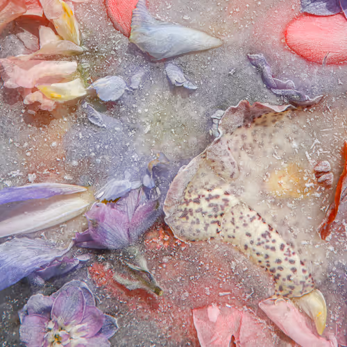 Item #80829721372825377784010953381890255518558028243098186913878117755351967203329 Media