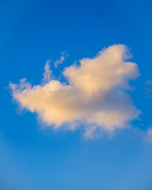 Item #91437098405588457721941204729205929938944474527971886254986814320909368688641 Media