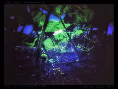 Item #3787080761074609709675817509753112159059746763483256848434353629264663805957 Media