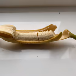 Banana Art Basel #55