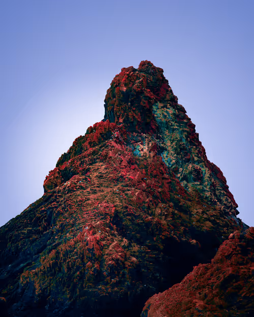 Item #60159483493632401333045796468975237481349859930620464004272301089123756670977 Media