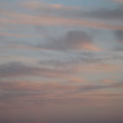 Flying 037/100