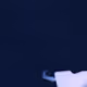 99920328579551173496295997199148085168545294094087031242144316400811322114049