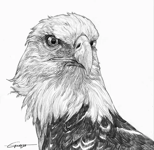 Unique Animal Drawing