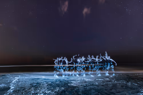 Item #103012301657456598627464593711191492996341926608798375780323323068038990790657 Media