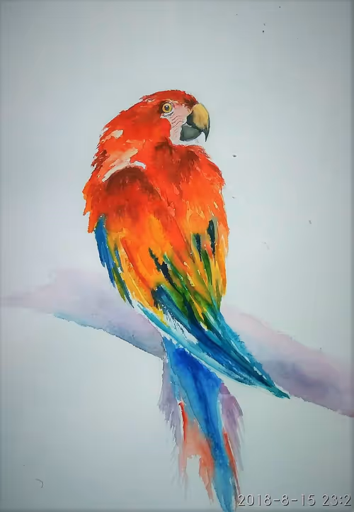 Item #6662872385738221358395053912610772740901337346575382946564013359662043758593 Media