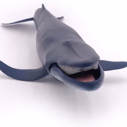 the whale  #1