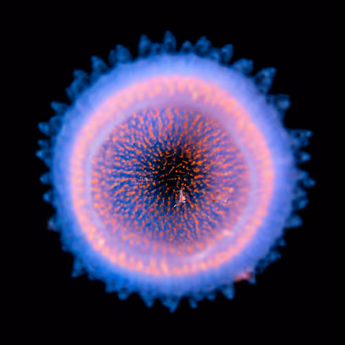 Item #16806804082444139046806831849360140189993946915260550880567242973106208243713 Media