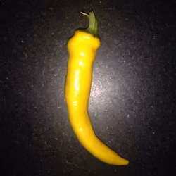 HOT PEPPER #1