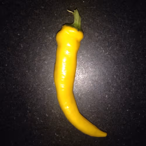 HOT PEPPER #1