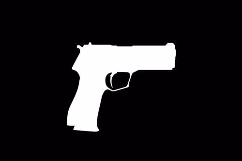 Item #95495937300188316915518082470679702415174710017244984004307905562572245434369 Media