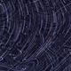 57043096746425765748901145837019124184978791984206088819832410363005589520385