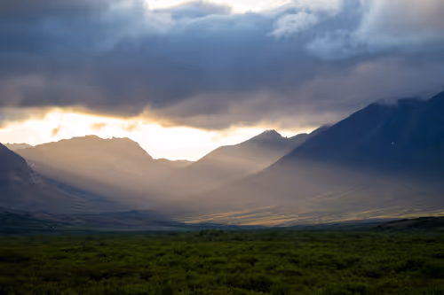 Item #38069088421557280780080489884356511775313840977413642295707171744570461388801 Media