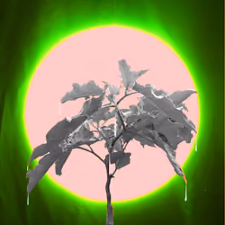 GREEN LIGHT3
