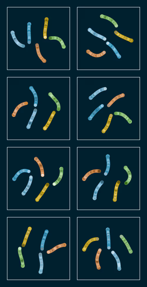 Item #107937117699900001194099939943306584939867407144504846123696048331173084004353 Media